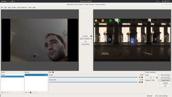 Linux平台游戏直播与游戏软件开发入门指南
