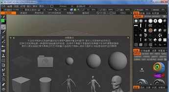 3D Coat v4.8.15 数字雕塑与游戏设计的高效利器