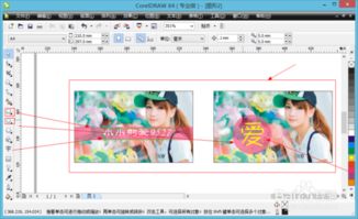 从构思到实现 名片游戏软件的设计与制作全攻略